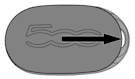 500 key fob